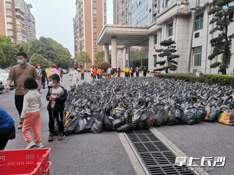 780份蔬菜包送到了湘林小區院內。長(cháng)沙晚報實(shí)習生 羅楊 攝